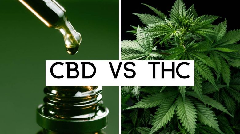 CBD vs THC differences